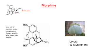 Morphine
OPIUM
12 % MORPHINE
Lone pair of
electrons on the
nitrogen atom
though, which is
what makes it an
alkaloid.
 