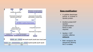 cell and molecular.pptx