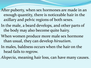 After puberty, when sex hormones are made in an
enough quantity, there is noticeable hair in the
axillary and pelvic regions of both sexes.
In the male, a beard develops, and other parts of
the body may also become quite hairy.
When women produce more male sex hormone
than usual, they can develop hirsutism.
In males, baldness occurs when the hair on the
head fails to regrow.
Alopecia, meaning hair loss, can have many causes.
 