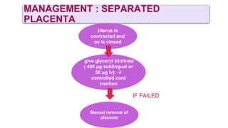 MANAGEMENT : SEPARATED
PLACENTA
Uterus is
contracted and
os is closed
Give oxyocin 
placental
expulsion
give glyceryl trinitrate
( 400 μg sublingual or
50 μg iv). 
controlled cord
traction
Manual removal of
placenta
IF FAILED
 