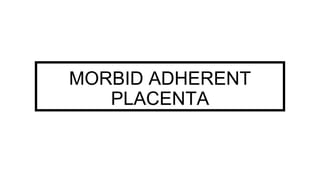 MORBID ADHERENT
PLACENTA
 