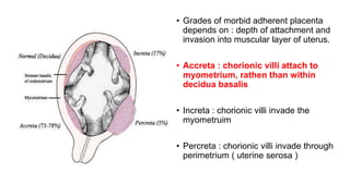 • Grades of morbid adherent placenta
depends on : depth of attachment and
invasion into muscular layer of uterus.
• Accreta : chorionic villi attach to
myometrium, rathen than within
decidua basalis
• Increta : chorionic villi invade the
myometruim
• Percreta : chorionic villi invade through
perimetrium ( uterine serosa )
 