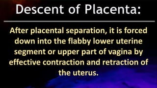 After placental separation, it is forced
down into the flabby lower uterine
segment or upper part of vagina by
effective contraction and retraction of
the uterus.
 