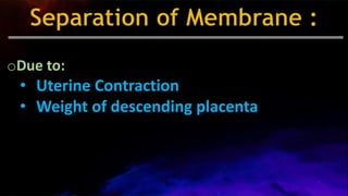 oDue to:
• Uterine Contraction
• Weight of descending placenta
 
