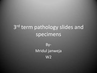 3rd term pathology slides and
          specimens
              By-
         Mridul janweja
              W2
 
