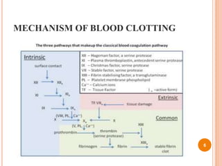MECHANISM OF BLOOD CLOTTING
6
 