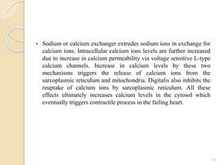  Sodium or calcium exchanger extrudes sodium ions in exchange for
calcium ions. Intracellular calcium ions levels are further increased
due to increase in calcium permeability via voltage sensitive L-type
calcium channels. Increase in calcium levels by these two
mechanisms triggers the release of calcium ions from the
sarcoplasmic reticulum and mitochondria. Digitalis also inhibits the
reuptake of calcium ions by sarcoplasmic reticulum. All these
effects ultimately increases calcium levels in the cytosol which
eventually triggers contractile process in the failing heart.
15
 