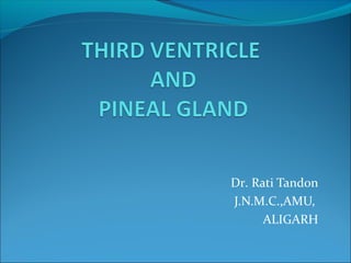 Dr. Rati Tandon
J.N.M.C.,AMU,
ALIGARH
 