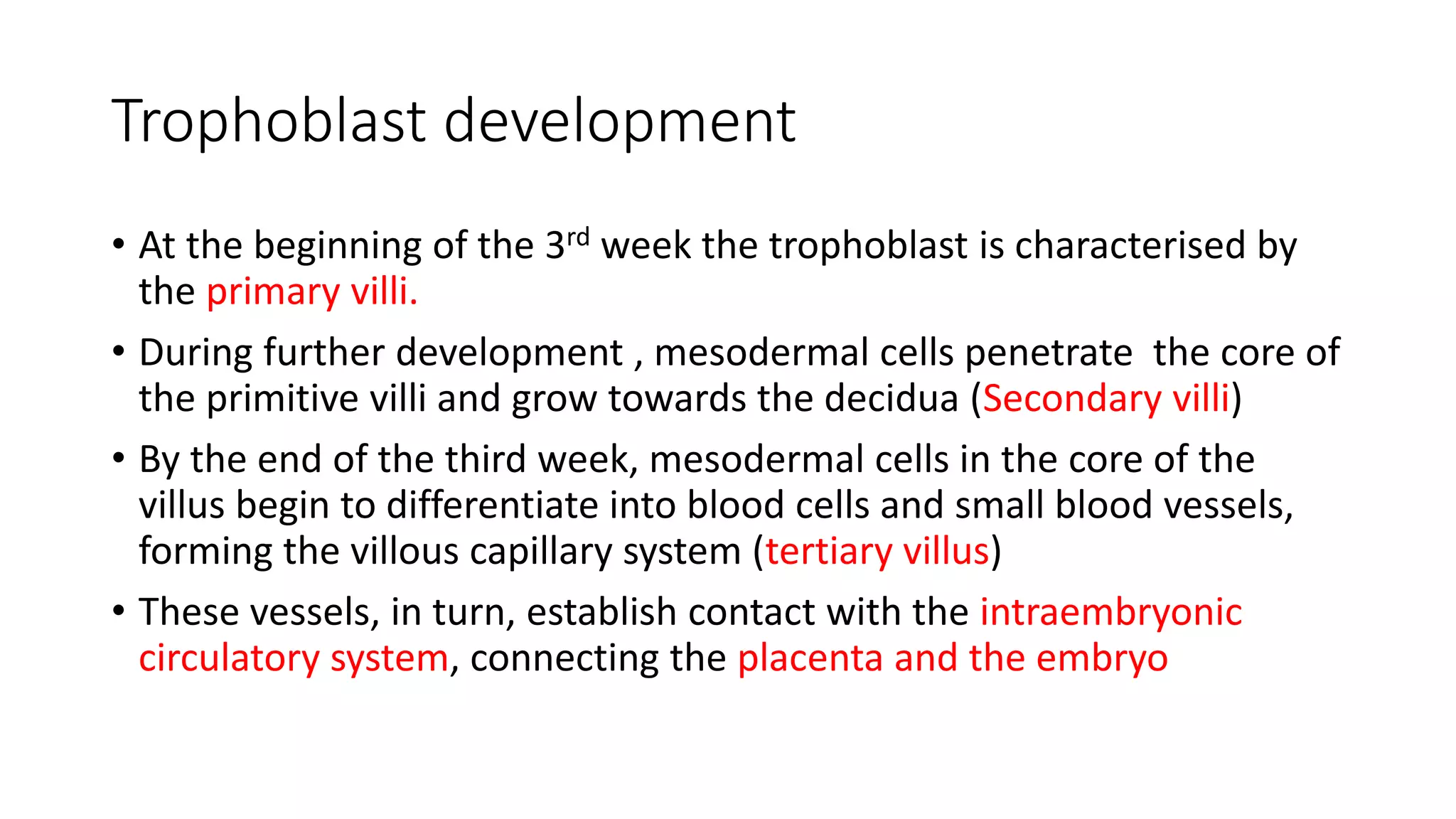 Trophoblast development
• At the beginning of the 3rd week the trophoblast is characterised by
the primary villi.
• During further development , mesodermal cells penetrate the core of
the primitive villi and grow towards the decidua (Secondary villi)
• By the end of the third week, mesodermal cells in the core of the
villus begin to differentiate into blood cells and small blood vessels,
forming the villous capillary system (tertiary villus)
• These vessels, in turn, establish contact with the intraembryonic
circulatory system, connecting the placenta and the embryo
 