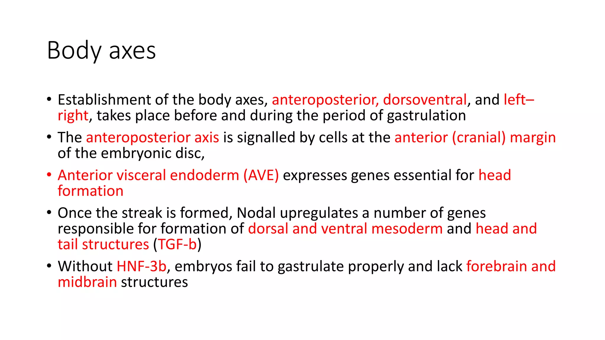 Body axes
• Establishment of the body axes, anteroposterior, dorsoventral, and left–
right, takes place before and during the period of gastrulation
• The anteroposterior axis is signalled by cells at the anterior (cranial) margin
of the embryonic disc,
• Anterior visceral endoderm (AVE) expresses genes essential for head
formation
• Once the streak is formed, Nodal upregulates a number of genes
responsible for formation of dorsal and ventral mesoderm and head and
tail structures (TGF-b)
• Without HNF-3b, embryos fail to gastrulate properly and lack forebrain and
midbrain structures
 
