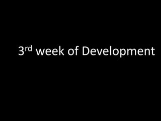 3rd week of Development
 