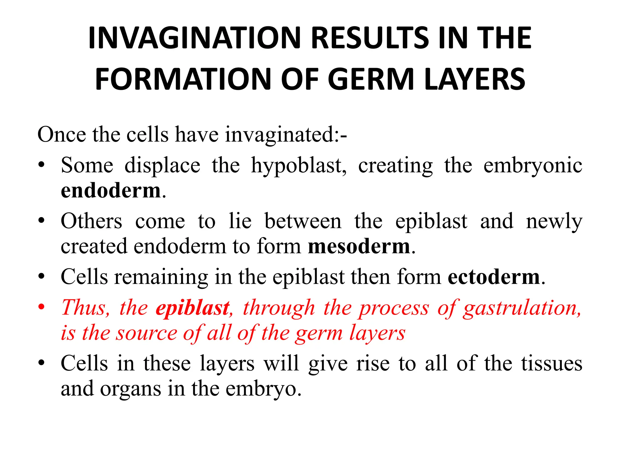 INVAGINATION RESULTS IN THE
FORMATION OF GERM LAYERS
Once the cells have invaginated:-
• Some displace the hypoblast, creating the embryonic
endoderm.
• Others come to lie between the epiblast and newly
created endoderm to form mesoderm.
• Cells remaining in the epiblast then form ectoderm.
• Thus, the epiblast, through the process of gastrulation,
is the source of all of the germ layers
• Cells in these layers will give rise to all of the tissues
and organs in the embryo.
 