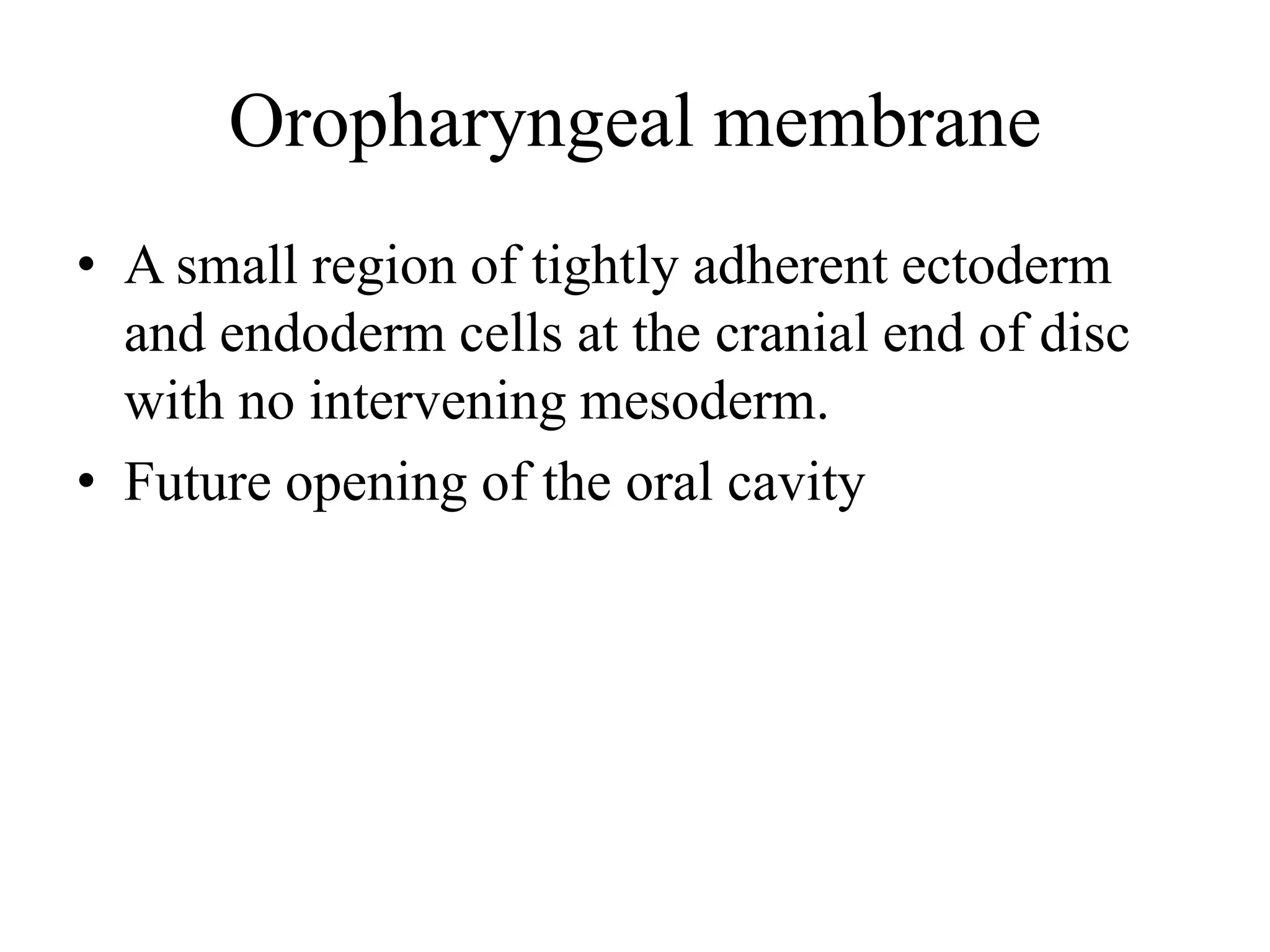 Oropharyngeal membrane
• A small region of tightly adherent ectoderm
and endoderm cells at the cranial end of disc
with no intervening mesoderm.
• Future opening of the oral cavity
 