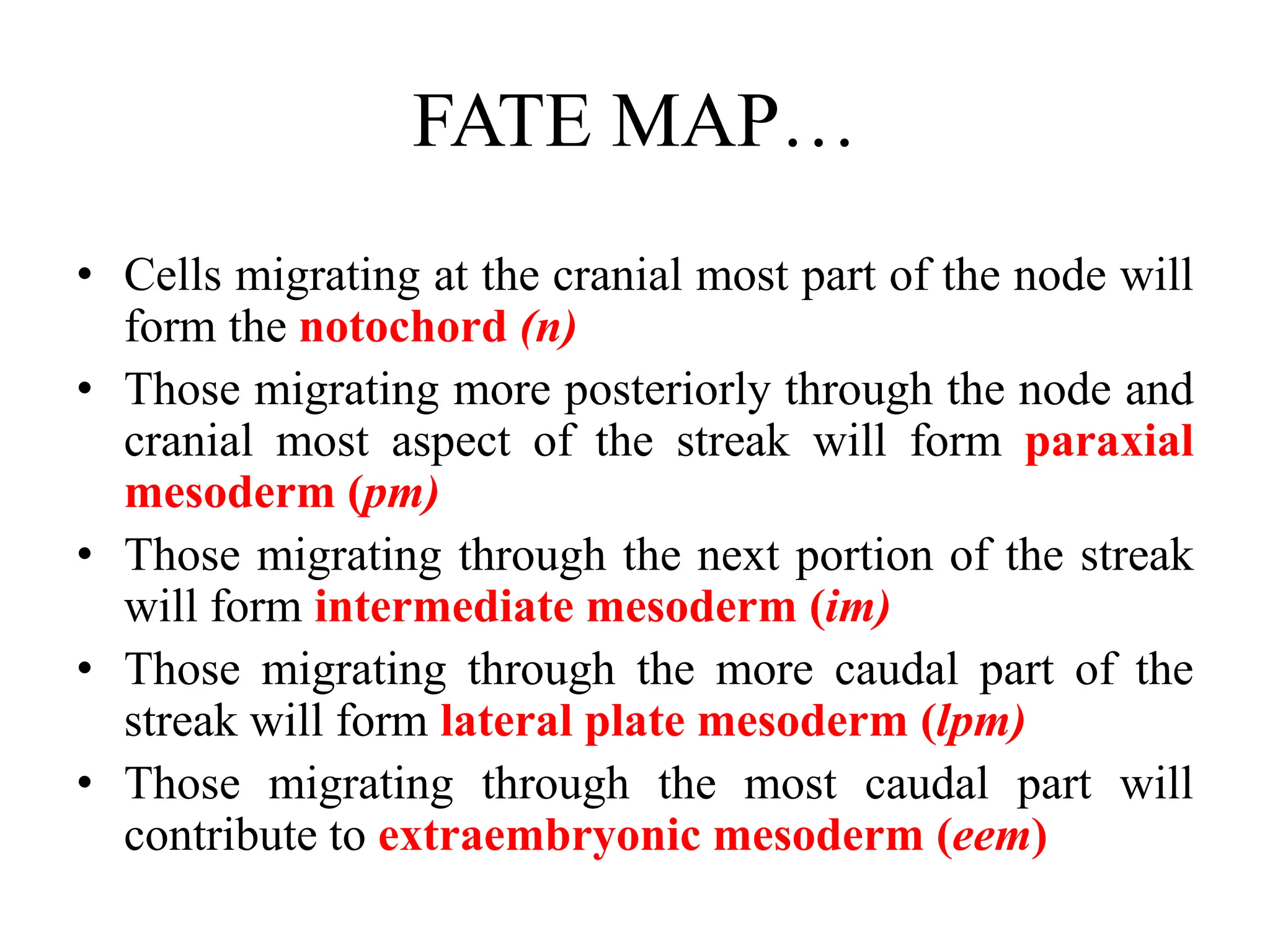FATE MAP…
• Cells migrating at the cranial most part of the node will
form the notochord (n)
• Those migrating more posteriorly through the node and
cranial most aspect of the streak will form paraxial
mesoderm (pm)
• Those migrating through the next portion of the streak
will form intermediate mesoderm (im)
• Those migrating through the more caudal part of the
streak will form lateral plate mesoderm (lpm)
• Those migrating through the most caudal part will
contribute to extraembryonic mesoderm (eem)
 