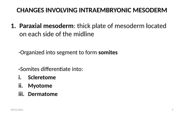 3rd WEEK DEVELOPMENT Embryology 1 1.pptx