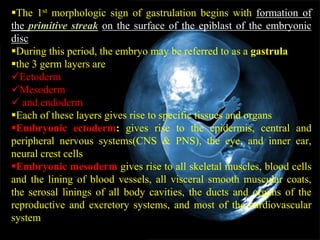 3rd week embryo changes | PPTX