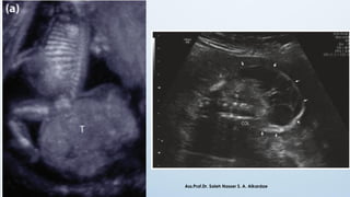 Ass.Prof.Dr. Saleh Nasser S. A. Alkardae
 