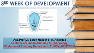 3RD WEEK OF DEVELOPMENT
Ass.Prof.Dr. Saleh Nasser S. A. Alkardae
Lecturer of Human Anatomy & Embryology
Chairman of Anatomy Department, TUFOM_GUSTFOM
 
