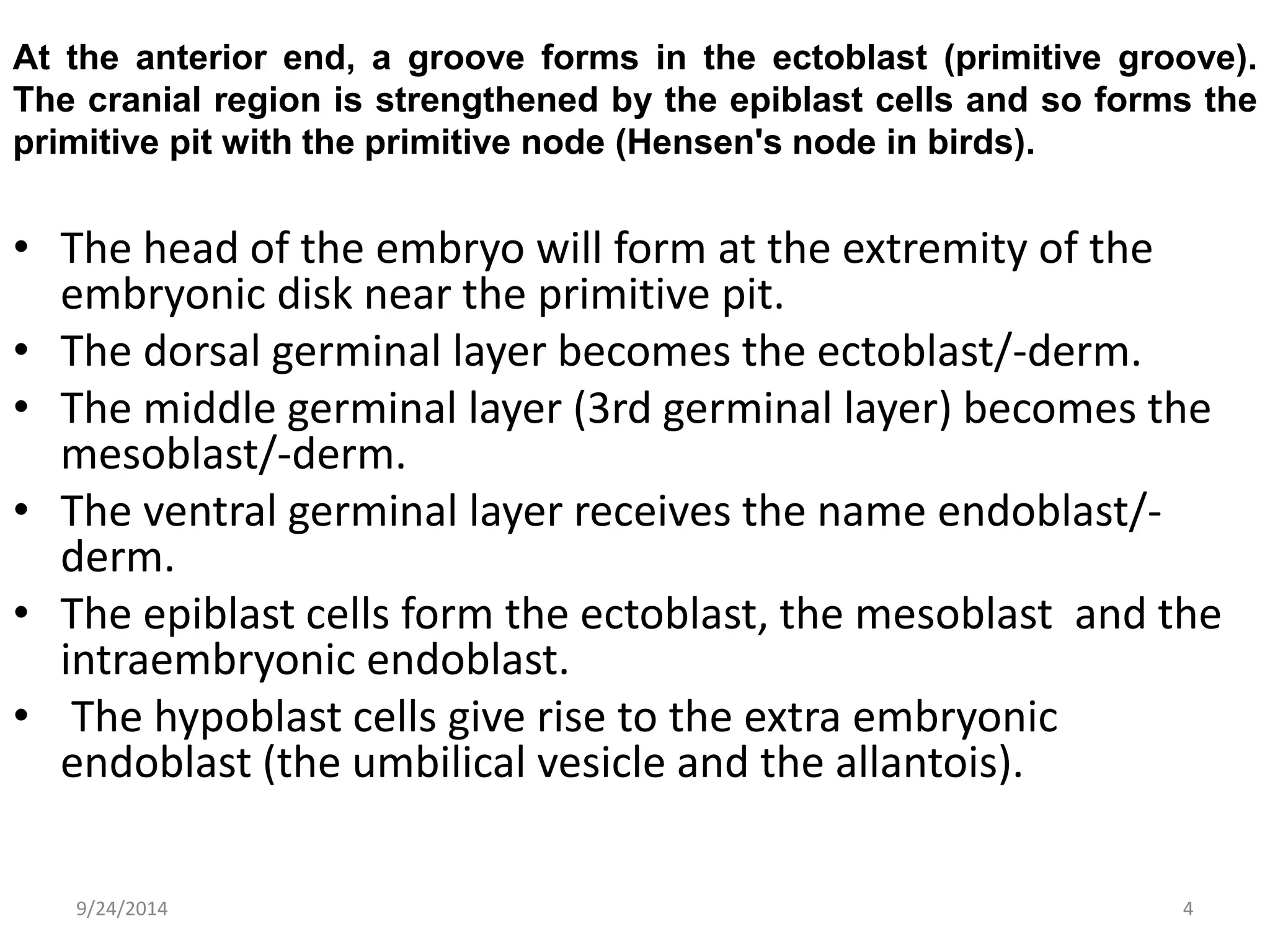 At the anterior end, a groove forms in the ectoblast (primitive groove). 
The cranial region is strengthened by the epiblast cells and so forms the 
primitive pit with the primitive node (Hensen's node in birds). 
• The head of the embryo will form at the extremity of the 
embryonic disk near the primitive pit. 
• The dorsal germinal layer becomes the ectoblast/-derm. 
• The middle germinal layer (3rd germinal layer) becomes the 
mesoblast/-derm. 
• The ventral germinal layer receives the name endoblast/- 
derm. 
• The epiblast cells form the ectoblast, the mesoblast and the 
intraembryonic endoblast. 
• The hypoblast cells give rise to the extra embryonic 
endoblast (the umbilical vesicle and the allantois). 
9/24/2014 4 
 