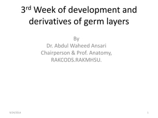 3rd Week of development and 
derivatives of germ layers 
By 
Dr. Abdul Waheed Ansari 
Chairperson & Prof. Anatomy, 
RAKCODS.RAKMHSU. 
9/24/2014 1 
 
