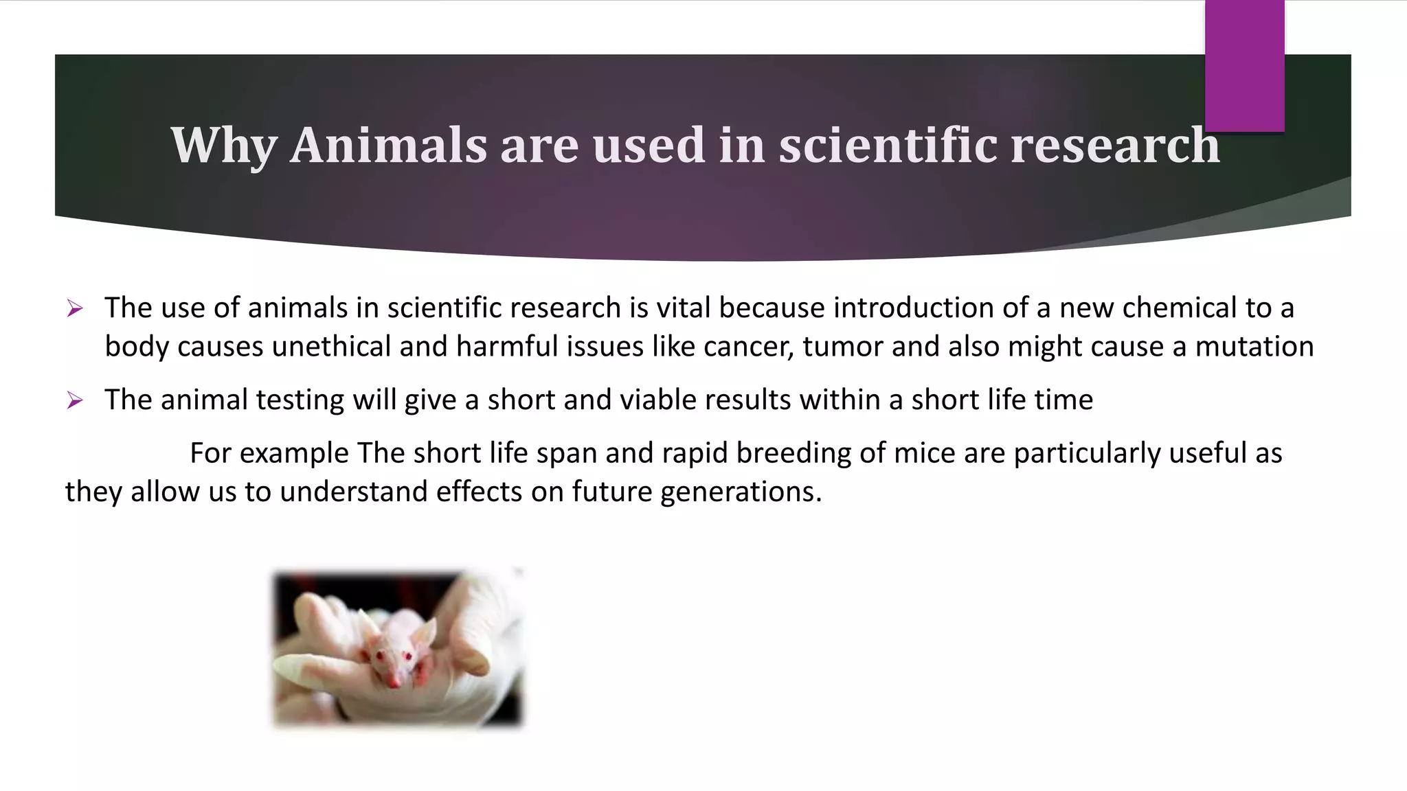 Reduction in use of Animals in Scientific Research | PPTX