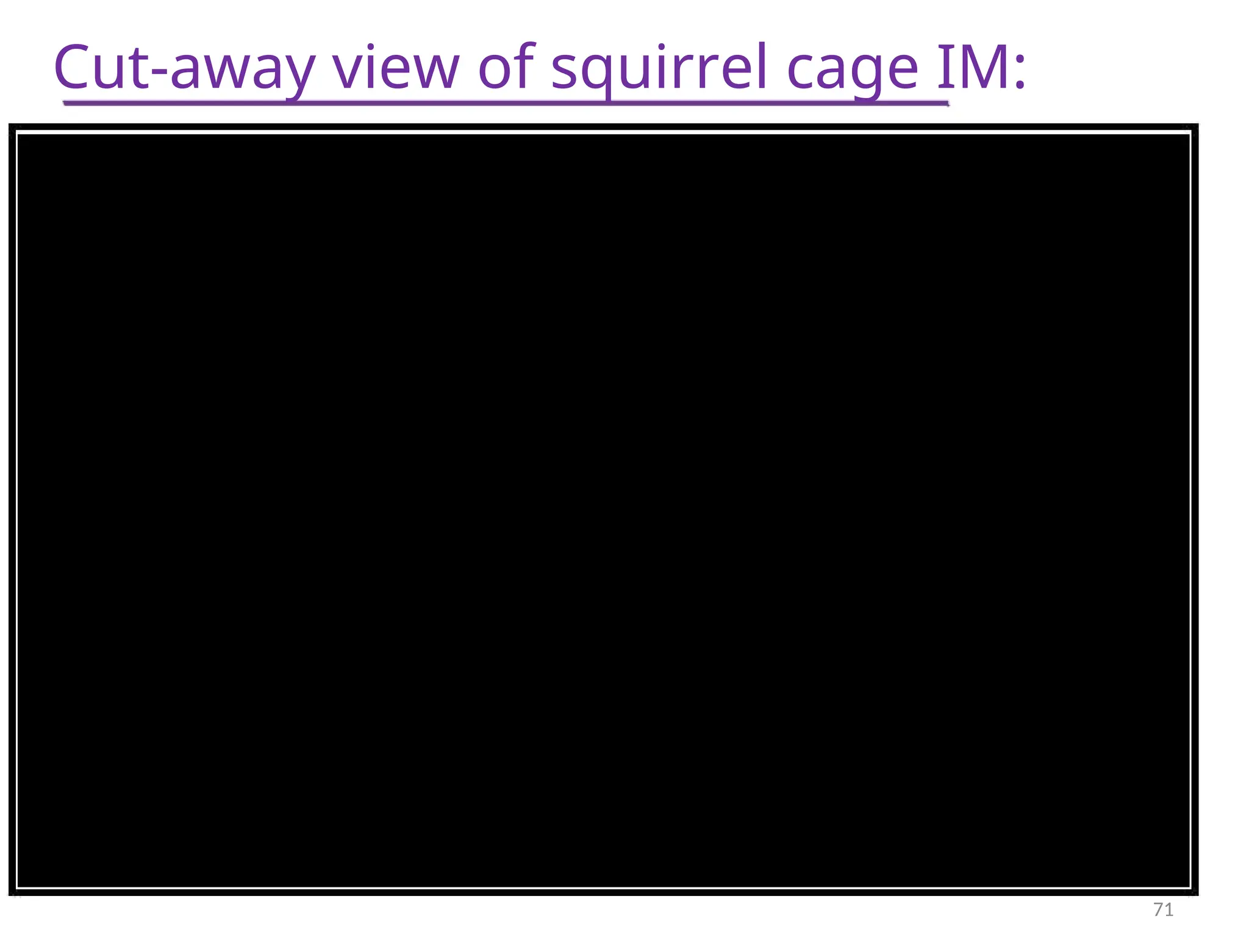 Cut-away view of squirrel cage IM:
71
 