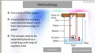 Methodology
 Cut a strip of filter paper
 A horizontal line is drawn
near one end about 1.5cm
from the bottom edge of
paper
 The sample need to be
separated placed as a
small drop with help of
capillary tube
Filter paper spot of sample eg ink.
 
