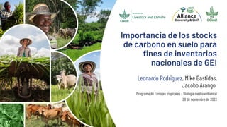 Importancia de los stocks
de carbono en suelo para
fines de inventarios
nacionales de GEI
Leonardo Rodriguez, Mike Bastidas,
Jacobo Arango
Programa de Forrajes tropicales – Biología medioambiental
28 de noviembre de 2023
 