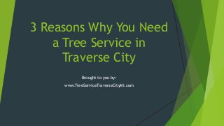 3 Reasons Why You Need
a Tree Service in
Traverse City
Brought to you by:
www.TreeServiceTraverseCityMI.com
 