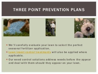 THREE POINT PREVENTION PLANS
We’ll carefully evaluate your lawn to select the perfect
seasonal fertilizer application.
Lawn insect control treatments will also be applied where
applicable.
Our weed control solutions address weeds before the appear
and deal with them should they appear on your lawn.
