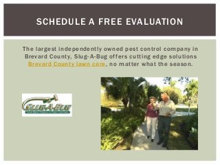 SCHEDULE A FREE EVALUATION
The largest independently owned pest control company in
Brevard County, Slug - A-Bug of fers cutting edge solutions
Brevard County lawn care , no matter what the season.