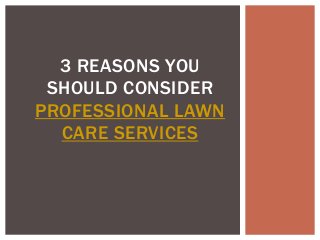 3 REASONS YOU
 SHOULD CONSIDER
PROFESSIONAL LAWN
  CARE SERVICES
 