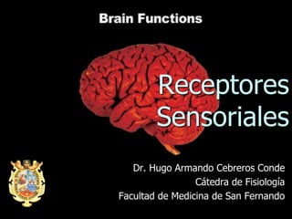 Receptores
Sensoriales
Dr. Hugo Armando Cebreros Conde
Cátedra de Fisiología
Facultad de Medicina de San Fernando
 