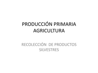 PRODUCCIÓN PRIMARIA
AGRICULTURA
RECOLECCIÓN DE PRODUCTOS
SILVESTRES
 