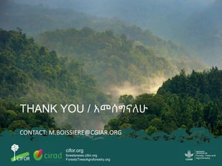 cifor.org
forestsnews.cifor.org
ForestsTreesAgroforestry.org
THANK YOU / አመሰግናለሁ
CONTACT: M.BOISSIERE@CGIAR.ORG
 