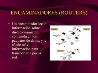 ENCAMINADORES (ROUTERS) Un encaminador lee la información sobre direccionamiento contenida en los paquetes de datos, y le añade más información para transportarla por la red. 