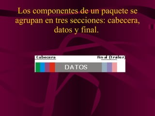 Los componentes de un paquete se agrupan en tres secciones: cabecera, datos y final.  