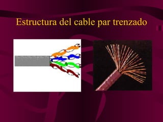 Estructura del cable par trenzado
 