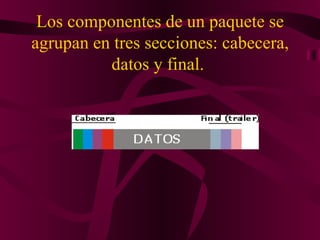 Los componentes de un paquete se
agrupan en tres secciones: cabecera,
          datos y final.
 