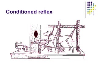 Conditioned reflex
 