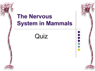 The Nervous
System in Mammals

     Quiz
 
