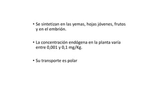 • Se sintetizan en las yemas, hojas jóvenes, frutos
y en el embrión.
• La concentración endógena en la planta varía
entre 0,001 y 0,1 mg/Kg.
• Su transporte es polar
 