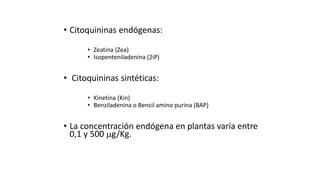 • Citoquininas endógenas:
• Zeatina (Zea)
• Isopenteniladenina (2iP)
• Citoquininas sintéticas:
• Kinetina (Kin)
• Benziladenina o Bencil amino purina (BAP)
• La concentración endógena en plantas varía entre
0,1 y 500 g/Kg.
 
