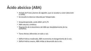 Ácido absicico (ABA)
• Aislado de frutos jóvenes de algodón, que se secaban y caian (abscisión
o caída).
• Se estudio la latencia inducida por fotoperiodo.
• Sesquiterpenoide, acido débil: pH 4,75
• ABA natural y sintético.
• Regulación de la biosíntesis del ABA por desdoblamiento de las
xantófilas.
• Tiene efectos diferentes en tallo o raíz.
• Déficit hídrico moderado, ABA incrementa el elongamiento de la raíz.
• Déficit hídrico severo, ABA inhibe el desarrollo de la raíz.
 