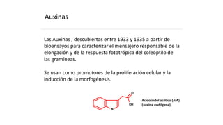N
OH
O
Acido indol acético (AIA)
(auxina endógena)
Auxinas
Las Auxinas , descubiertas entre 1933 y 1935 a partir de
bioensayos para caracterizar el mensajero responsable de la
elongación y de la respuesta fototrópica del coleoptilo de
las gramíneas.
Se usan como promotores de la proliferación celular y la
inducción de la morfogénesis.
 