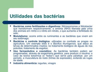 Utilidades das bactérias
   Bactérias como fertilizantes e digestivos: Nitrossomonas e Nitrobacter
    que transformam respectivamente, a amônia (NH3) liberada pela urina
    dos animais em nitrito e o nitrito em nitrato, o que aumenta a fertilidade do
    solo;
   Mutulalismo: ocorre entre os ruminantes e as bactérias que vivem em
    seu estômago;
   Bactérias e controle biológico: utilizadas no combate as pragas na
    agricultura. Um exemplo disto é o Bacillus thuringensis, que ataca as
    larvas de determinados insetos; no tratamento biológico de águas de rios
    poluídos; tratamento de esgotos;
   Uso farmacêutico e cosmético: As bactérias também podem ser
    programadas, através da engenharia genética, para produzir a insulina; o
    caso da toxina botulínica (o "botox") que serve para paralisar, por um
    período, a musculatura do rosto (linhas de expressão), evitando as rugas
    da idade.
   Indústria alimentícia: iogurtes, vinagre
 
