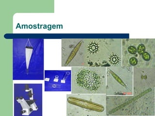 Amostragem
 