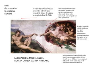 LA CREACCION. MIGUEL ANGEL. BOVEDA CAPILLA SIXTINA -VATICANO Dios es representado como un hombre anciano y con barba envuelto en una alborotada túnica color púrpura, la cual comparte con unos querubines Su brazo izquierdo está alrededor de una figura femenina, normalmente interpretada como Eva, quien no ha sido creada aún, El brazo derecho de Dios se encuentra estirado para impartir la chispa de vida de su propio dedo al de Adán Bien documentdaa la anatomía humana Alternativamente, ha sido observado que el manto rojo alrededor de Dios tiene la forma del útero humano y que la bufanda verde que cuelga de él, podría ser un cordón umbilical 