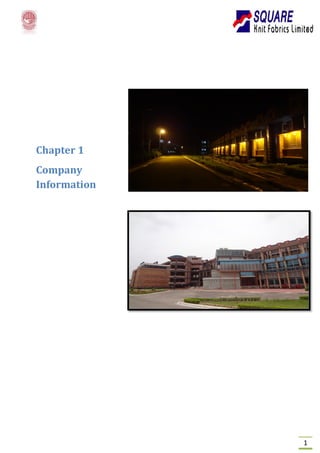 1 
Chapter 1 
Company 
Information 
 