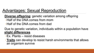 Advantages: Sexual Reproduction
Diverse offspring: genetic variation among offspring
◦Half of the DNA comes from mom
◦Half of the DNA comes from dad
Due to genetic variation, individuals within a population have
slight differences
◦Ex. Plants – resist diseases
◦Traits can develop to resist harsh environments that allows
an organism survive
 